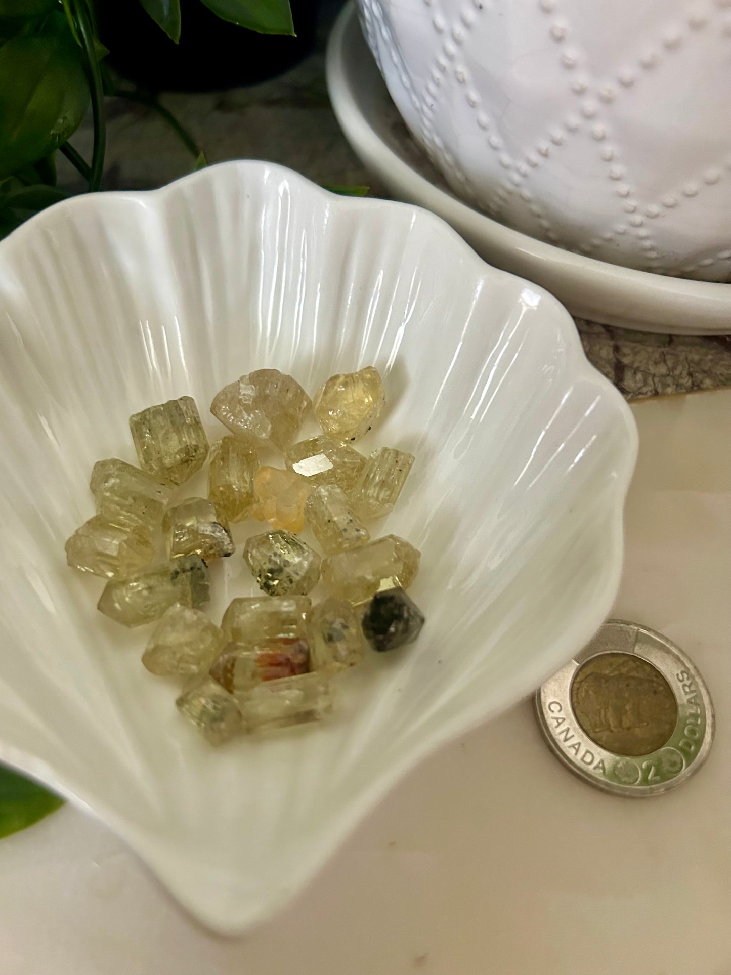 Gem Green Apatite Lot