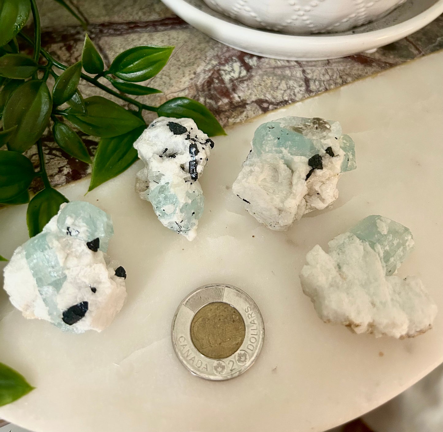 Aquamarine and Tourmaline in Matrix