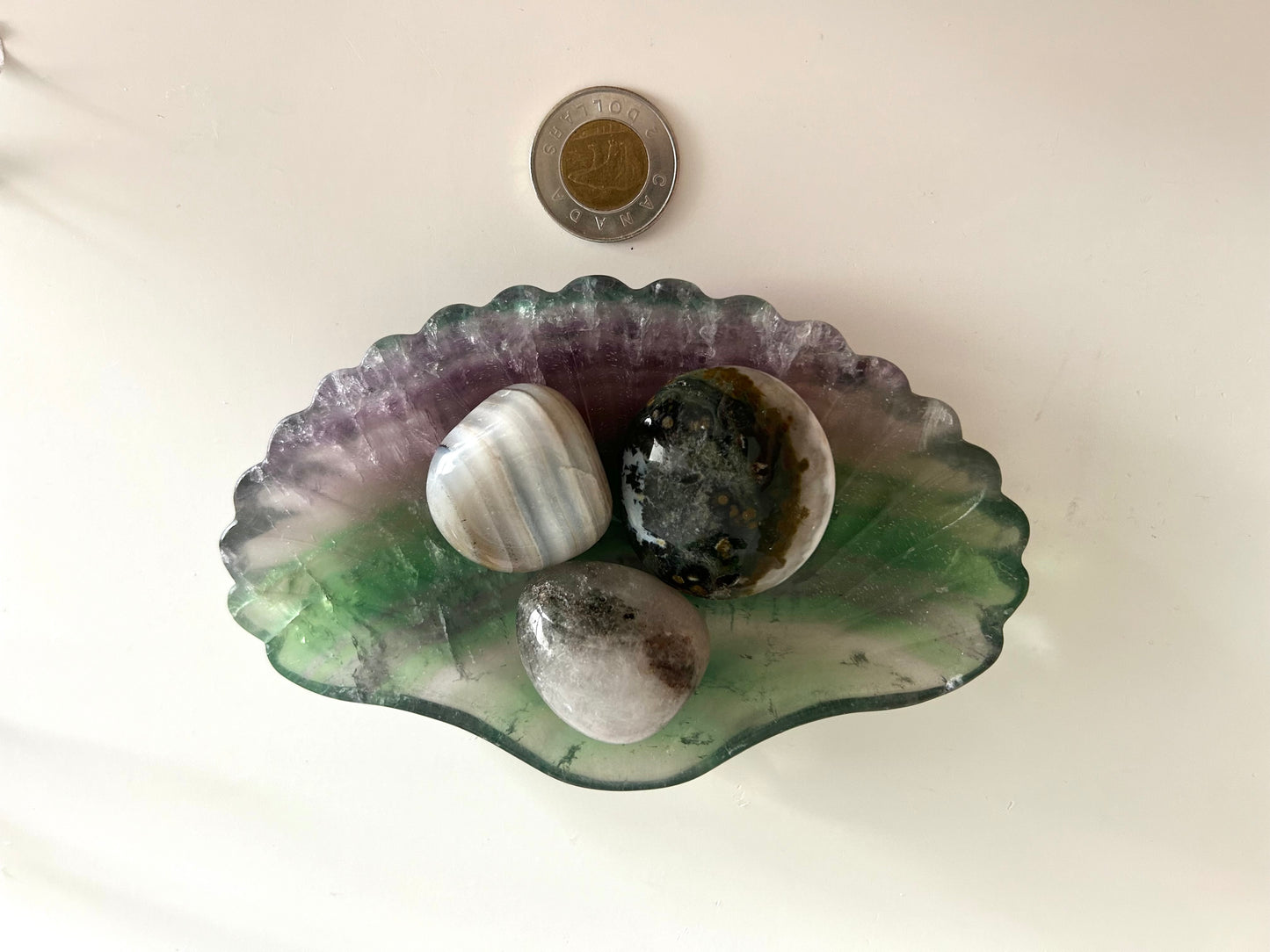 Fluorite Shell Bowl