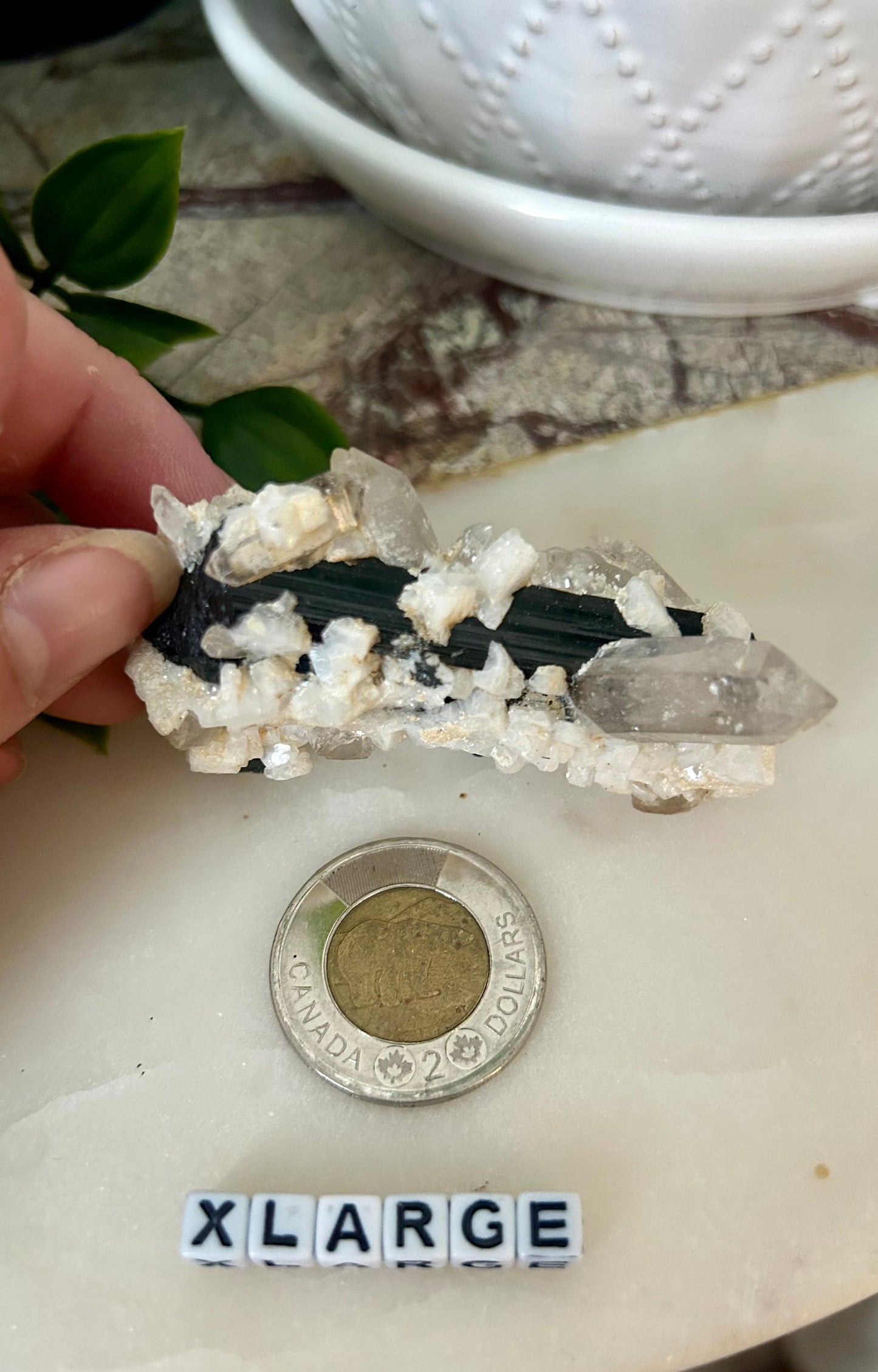 Schorl Tourmaline with Quartz