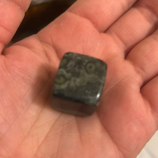 Crocodile Jasper Cube