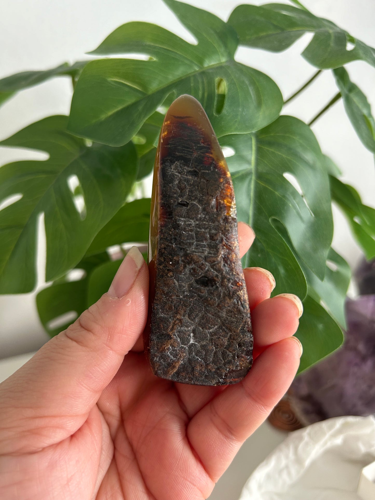 Polished Amber
