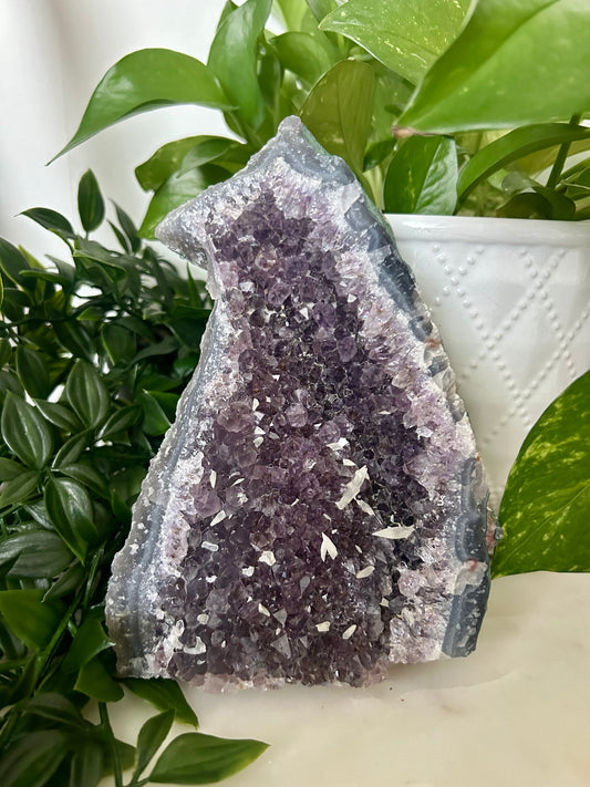 Raw Amethyst Cluster