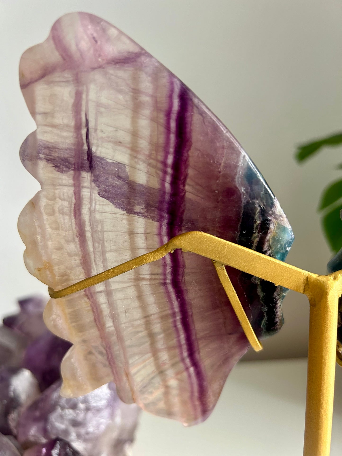 Large Rainbow Fluorite Butterfly