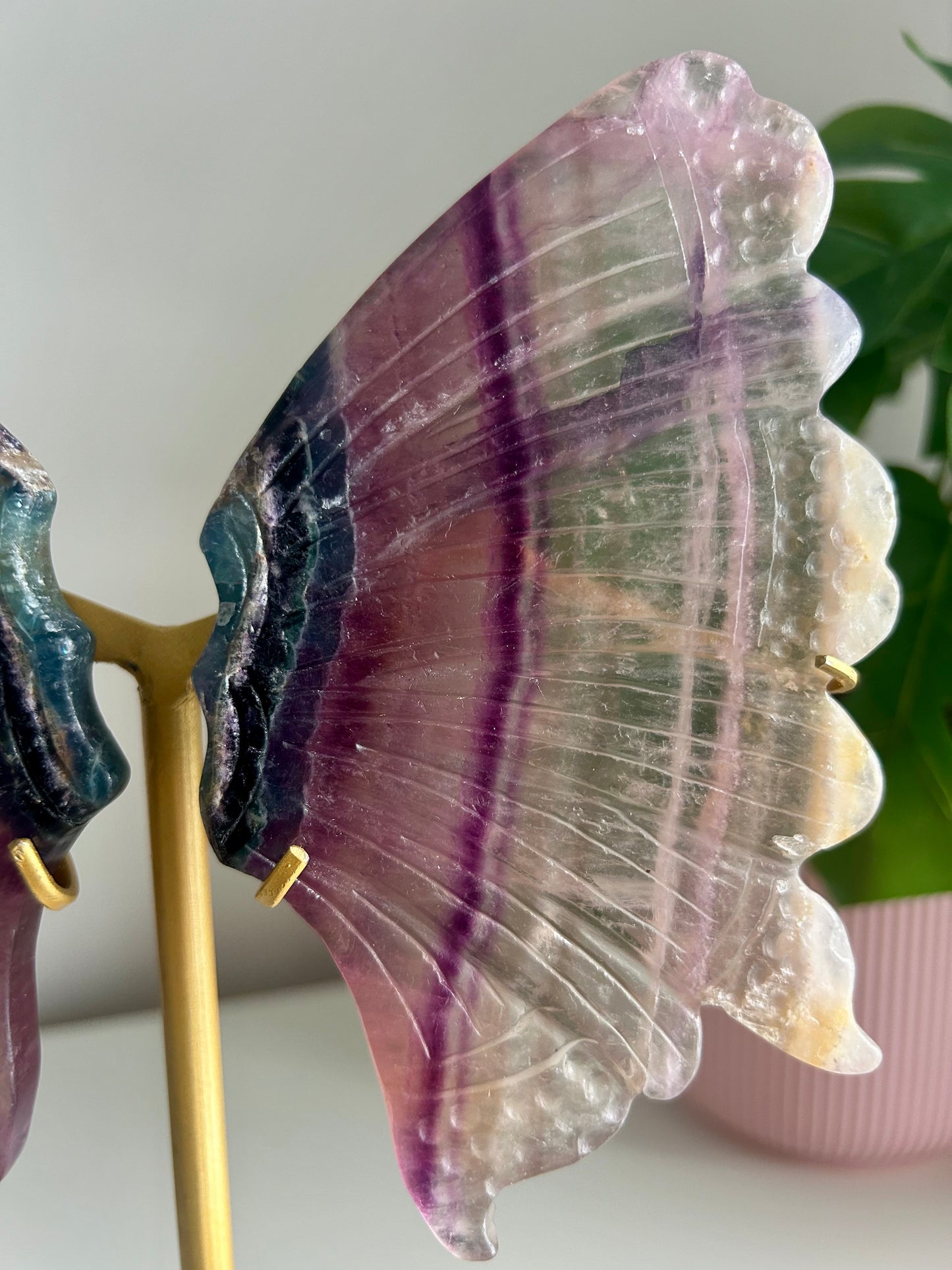 Large Rainbow Fluorite Butterfly