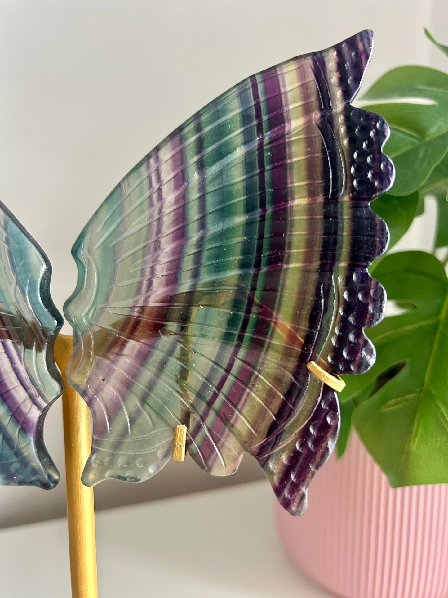 Large Rainbow Fluorite Butterfly