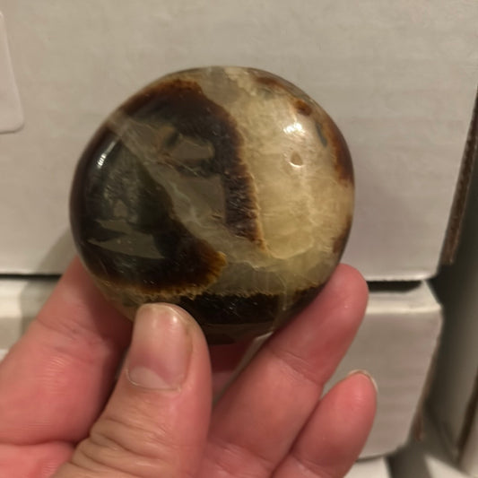 Septarian Palmstone