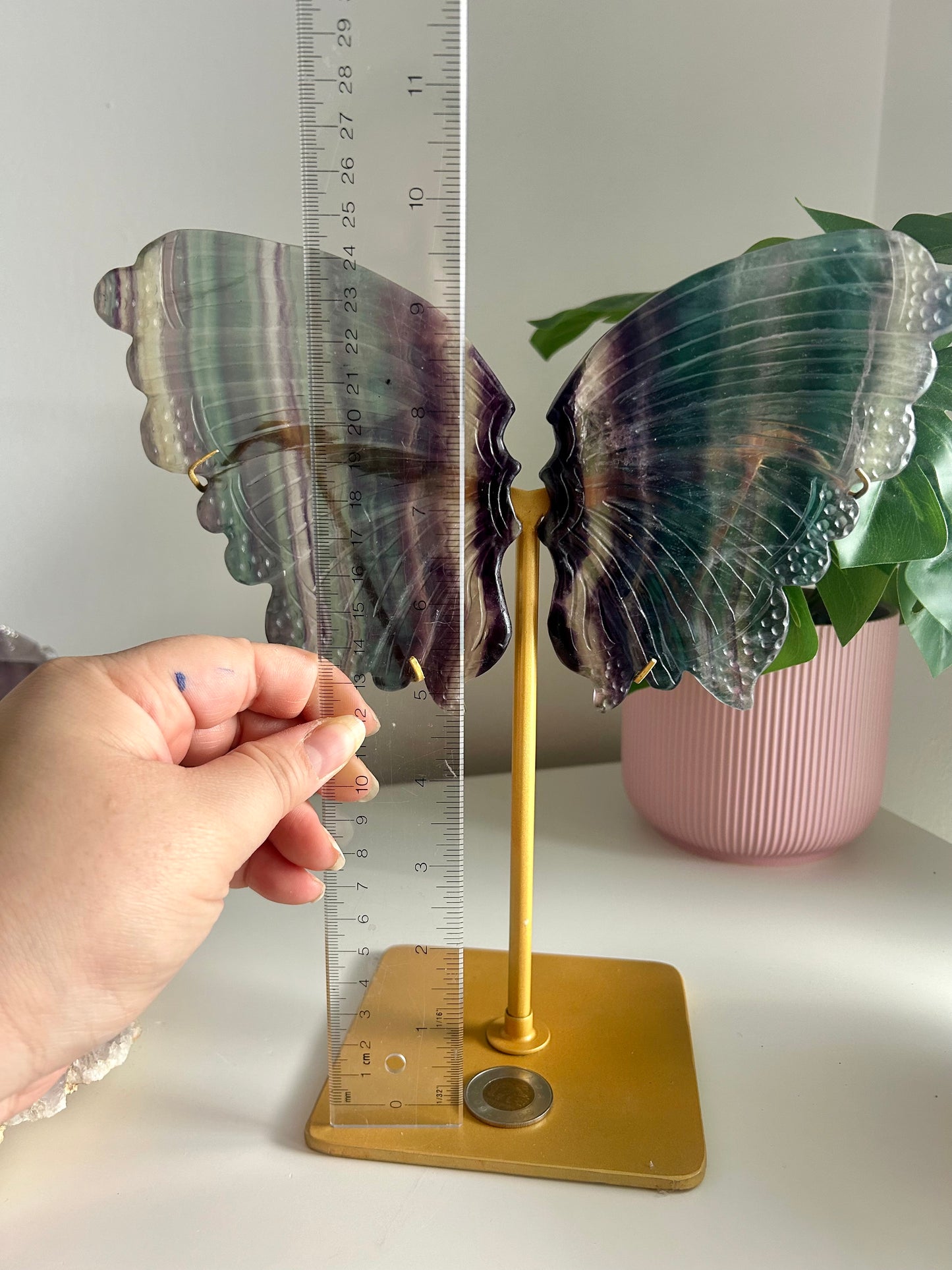 Large Rainbow Fluorite Butterfly