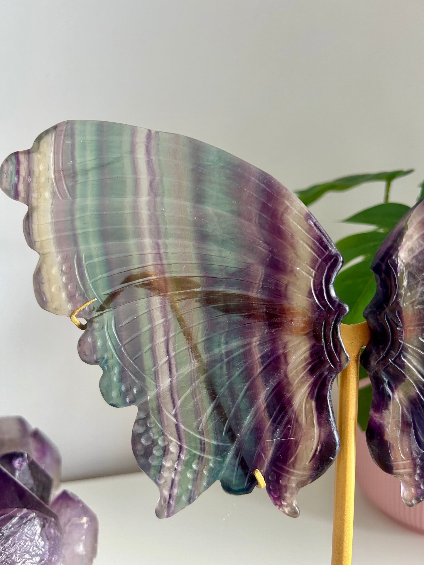 Large Rainbow Fluorite Butterfly
