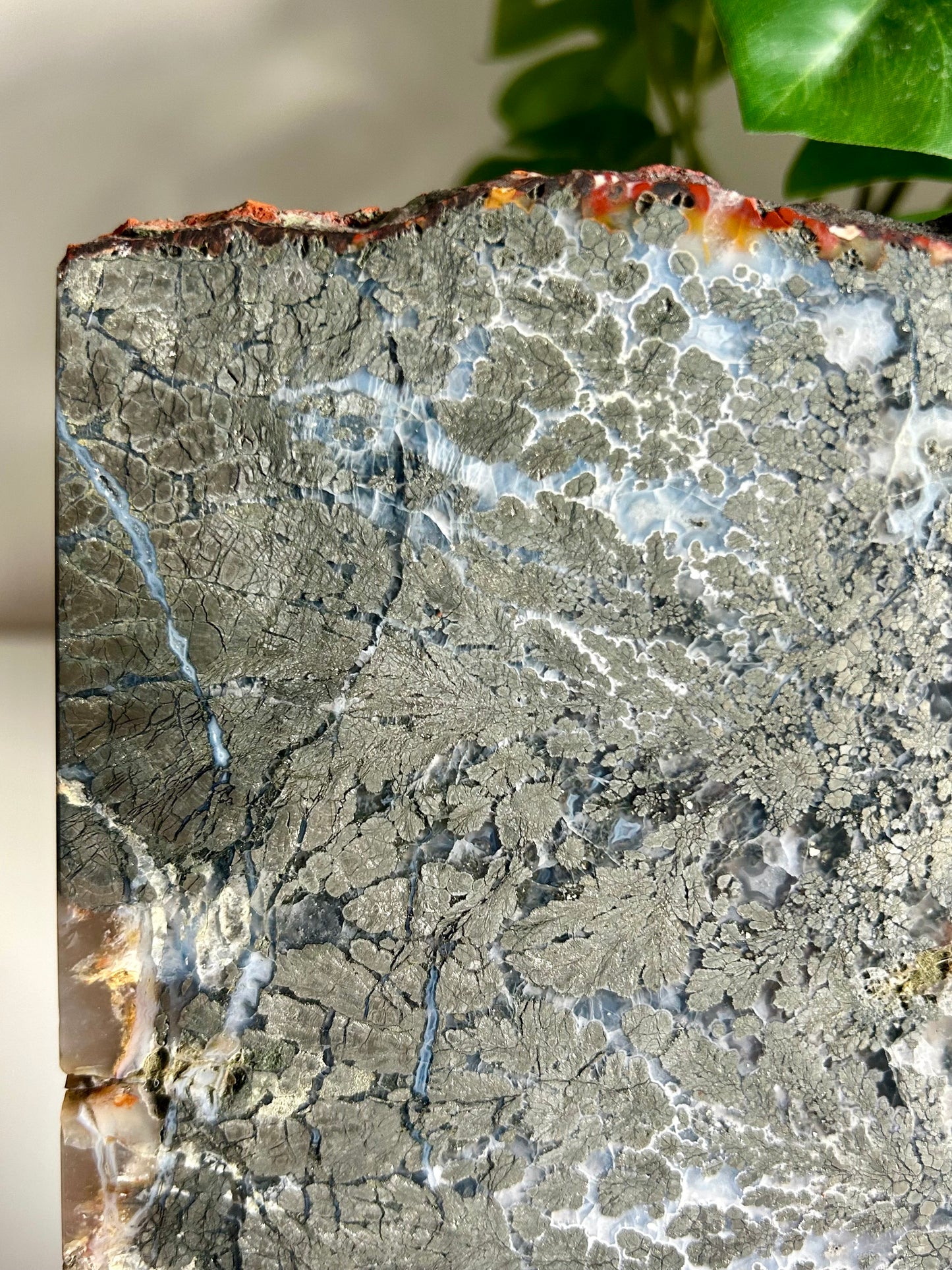 Agate Marcasite with Pyrite Slab