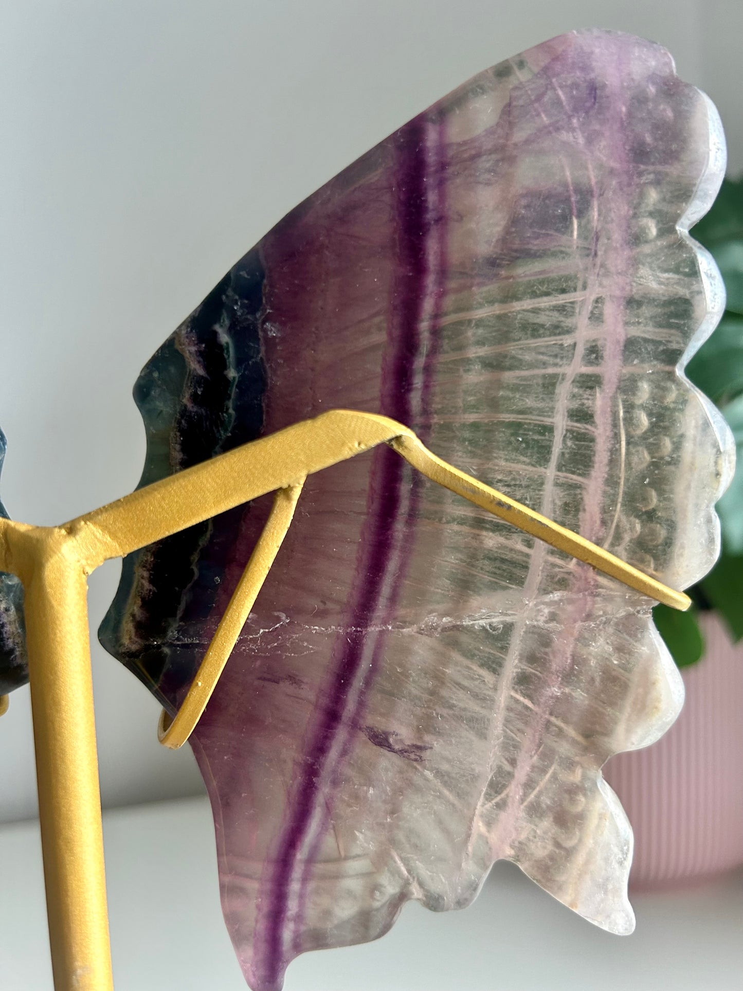 Large Rainbow Fluorite Butterfly