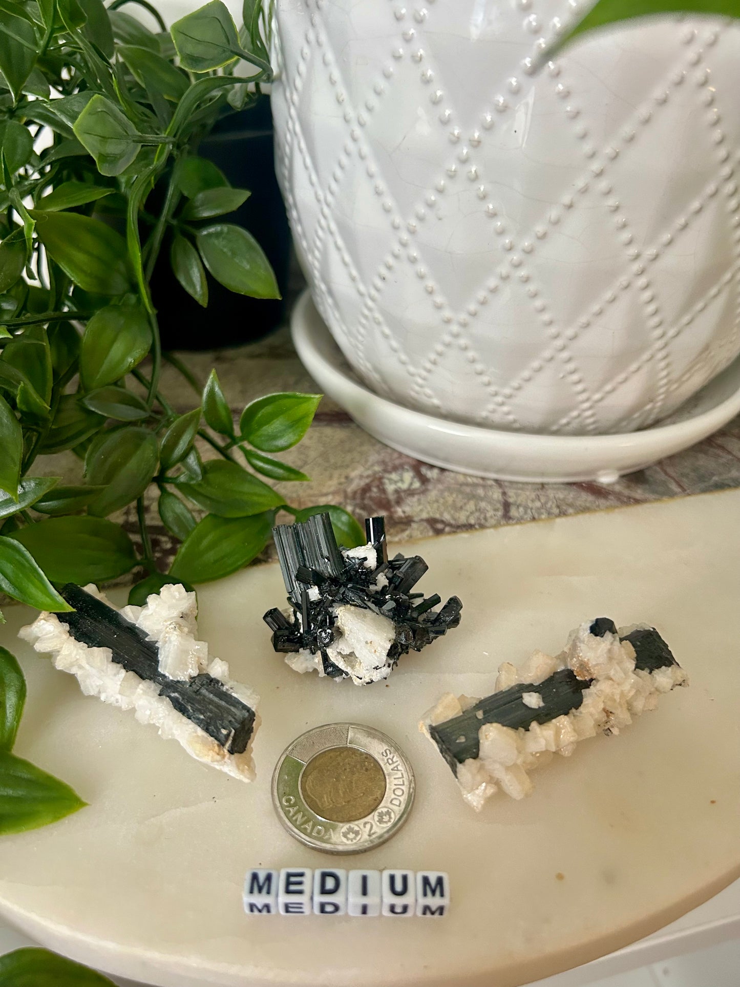 Schorl Tourmaline with Quartz