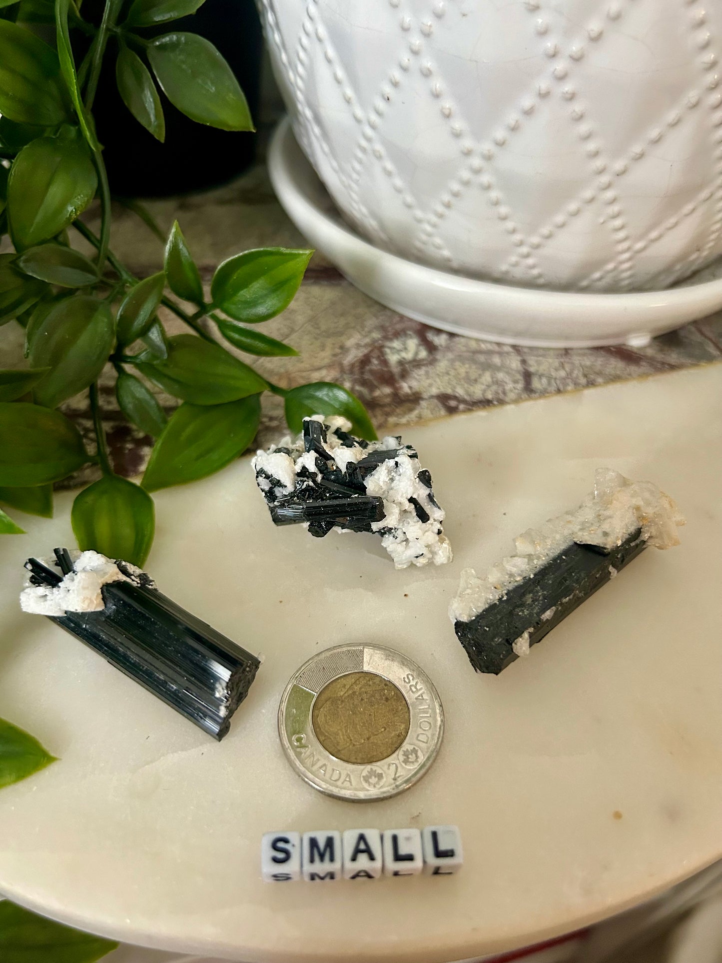 Schorl Tourmaline with Quartz