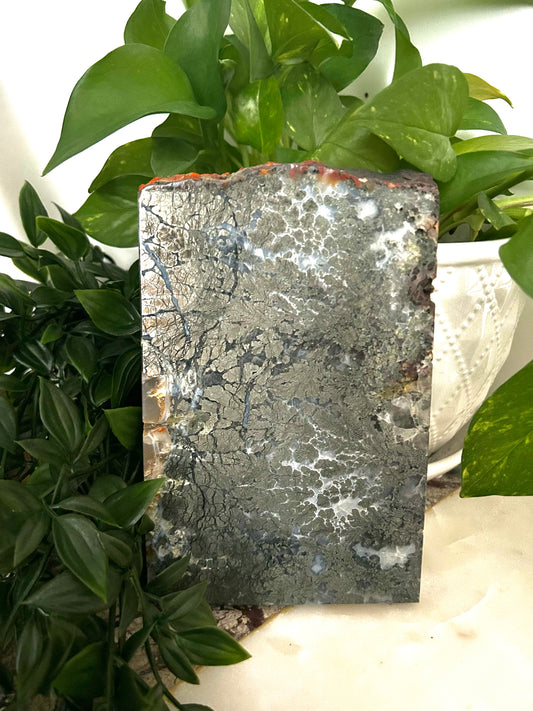 Agate Marcasite with Pyrite Slab