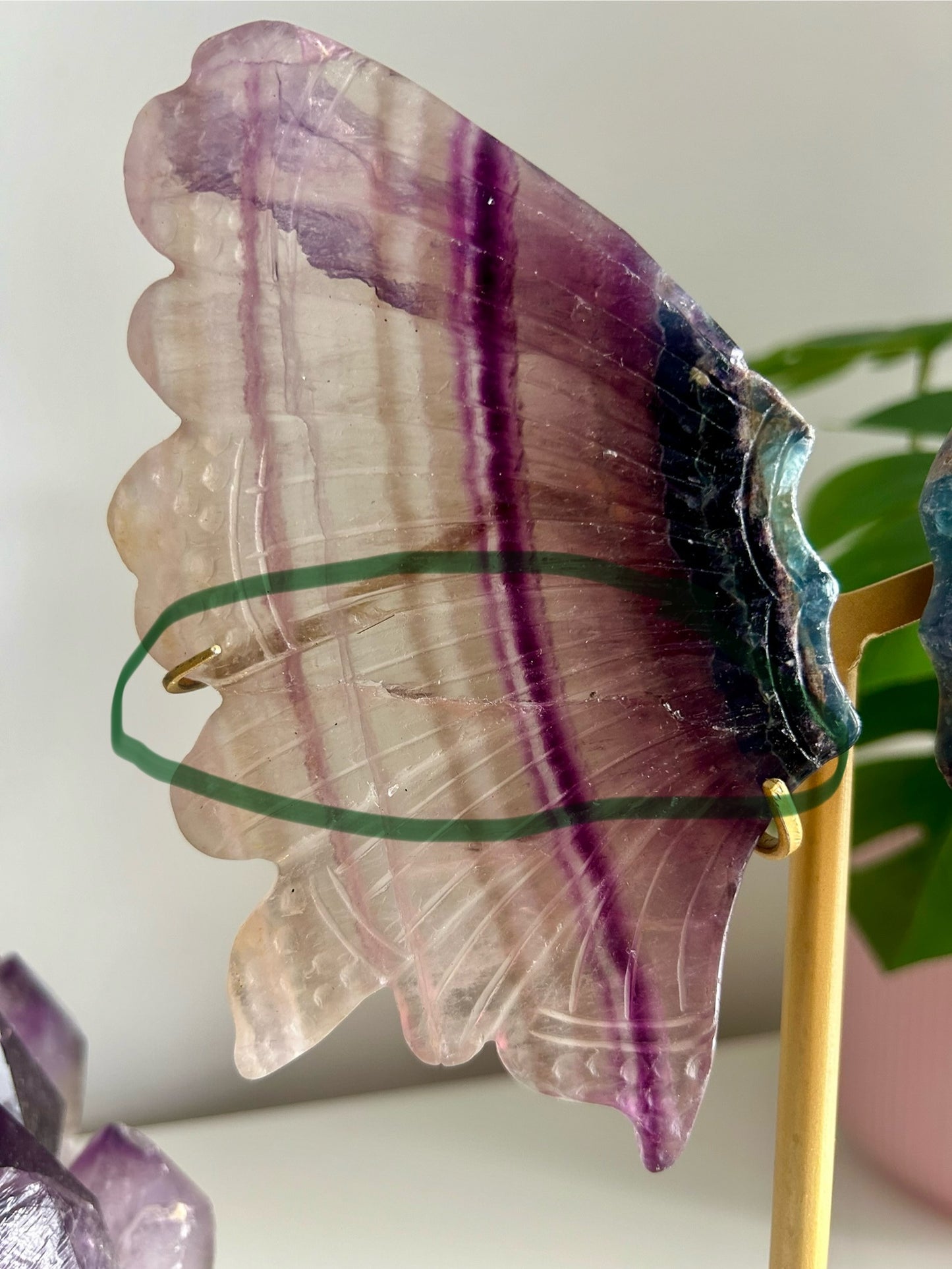 Large Rainbow Fluorite Butterfly