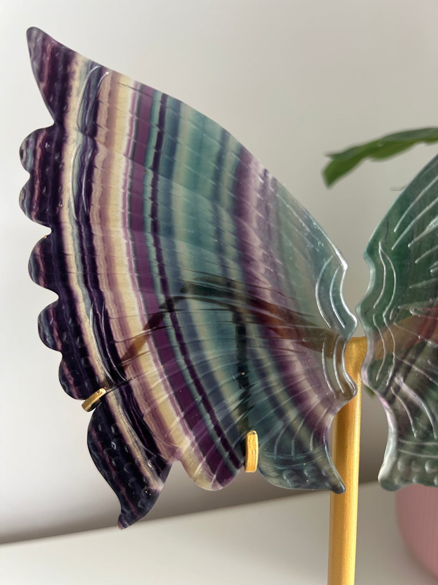 Large Rainbow Fluorite Butterfly