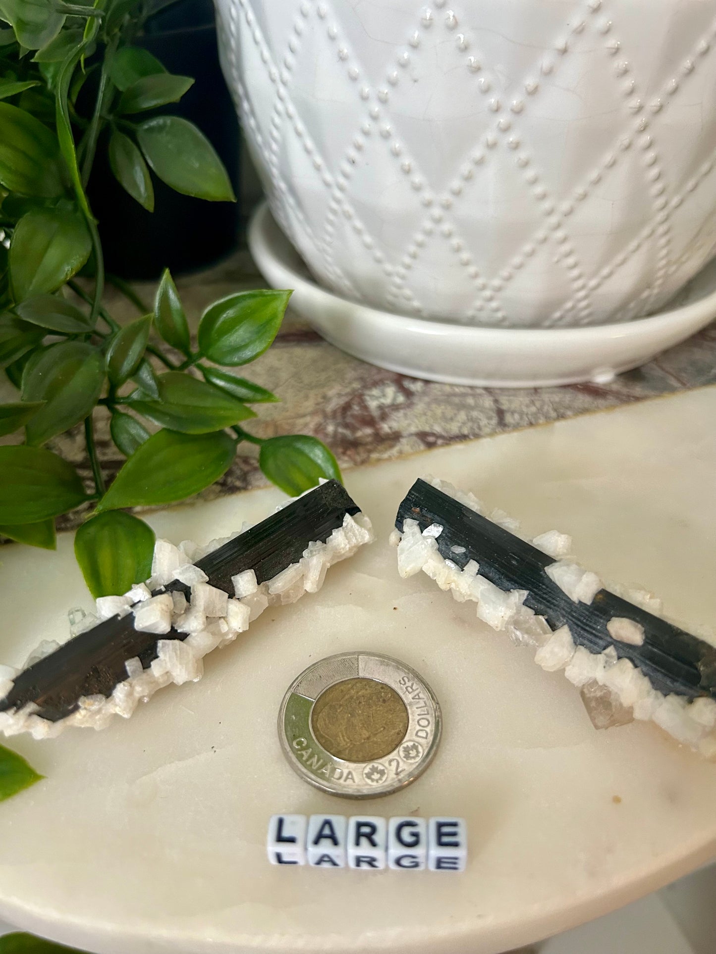 Schorl Tourmaline with Quartz
