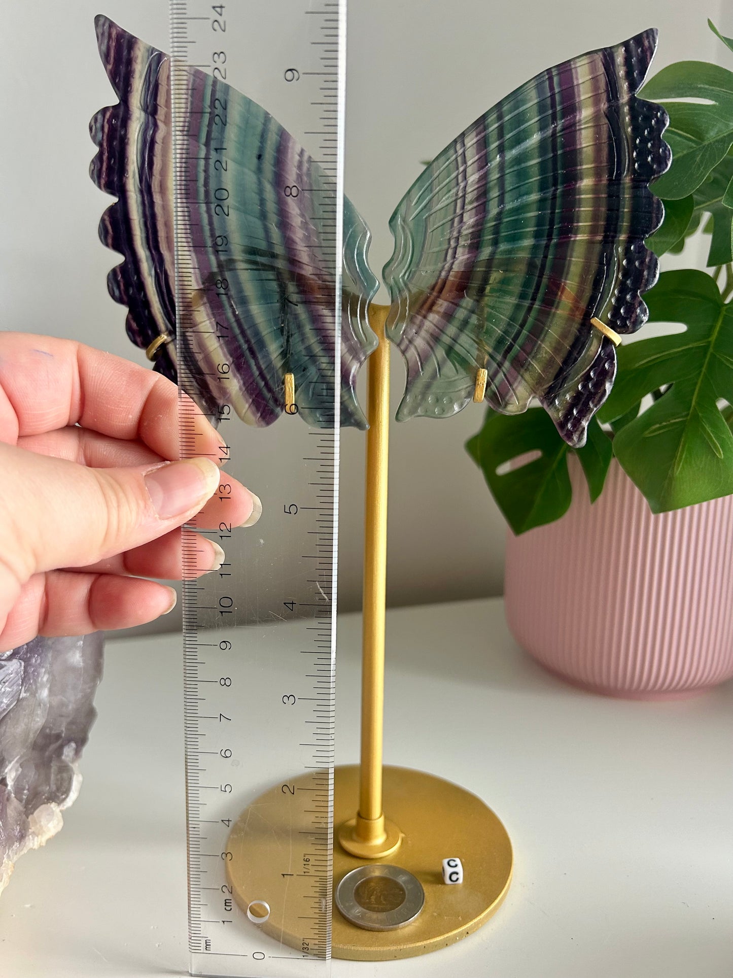 Large Rainbow Fluorite Butterfly