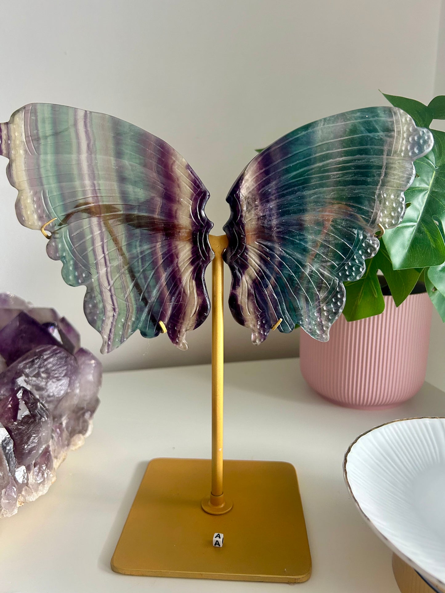 Large Rainbow Fluorite Butterfly
