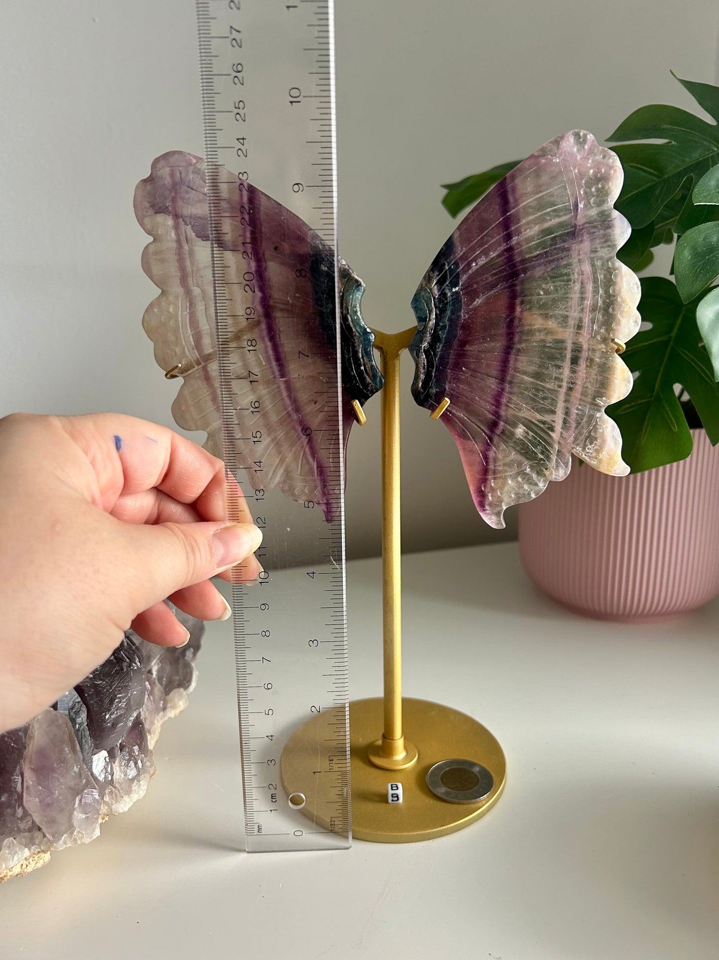 Large Rainbow Fluorite Butterfly