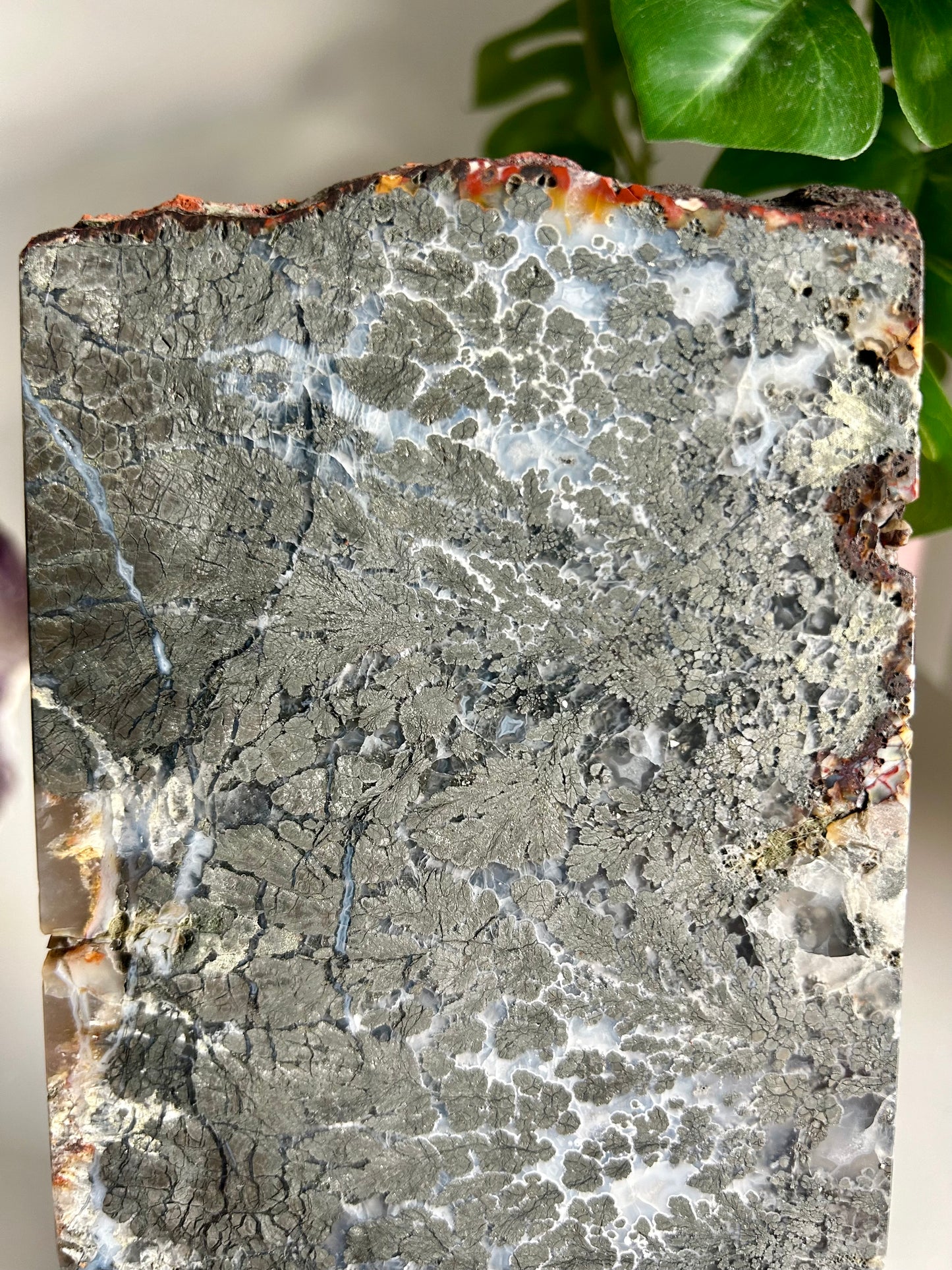 Agate Marcasite with Pyrite Slab