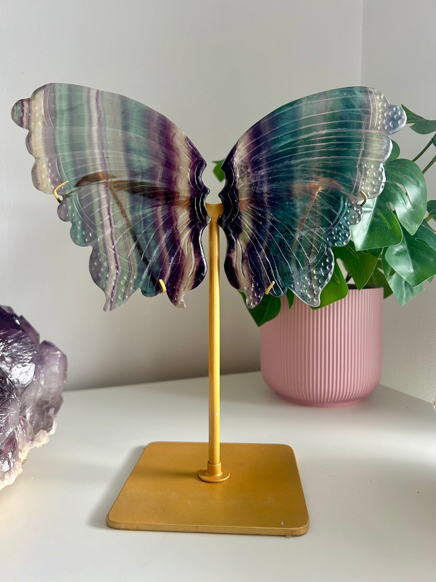 Large Rainbow Fluorite Butterfly