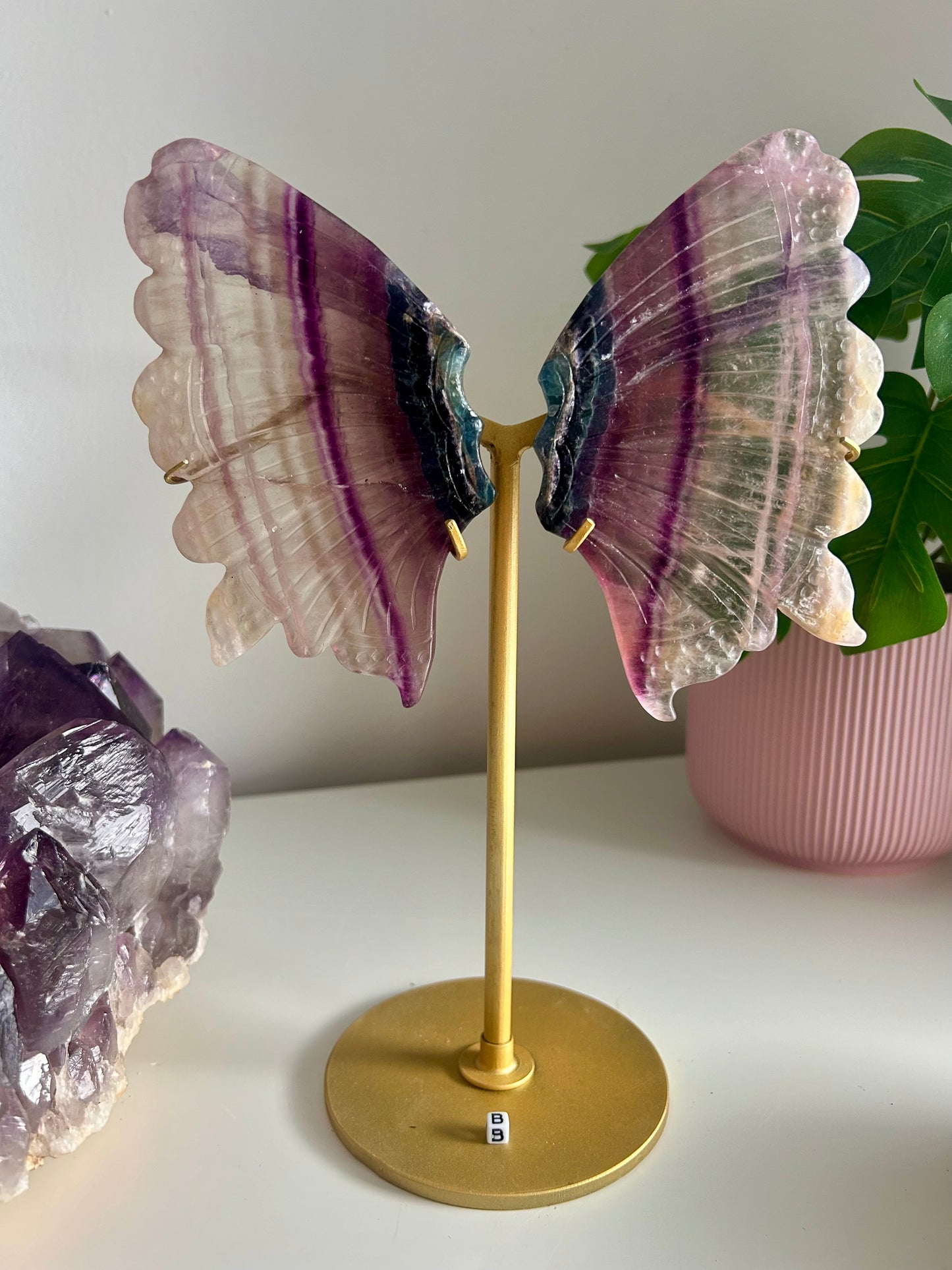 Large Rainbow Fluorite Butterfly