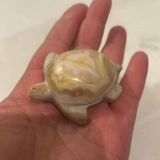 Crystal Turtles