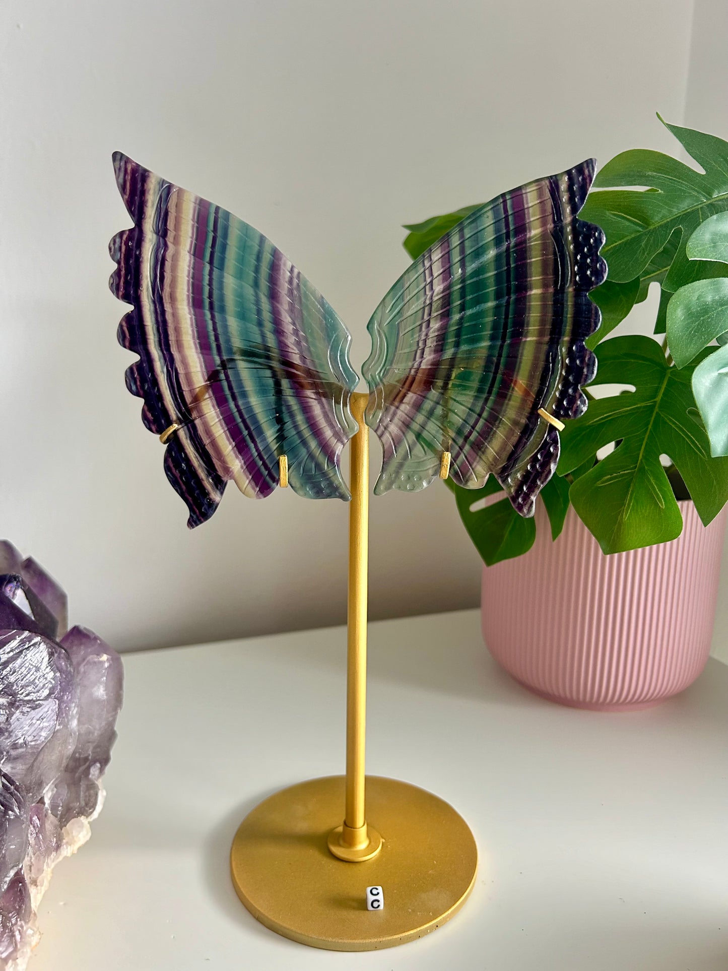 Large Rainbow Fluorite Butterfly