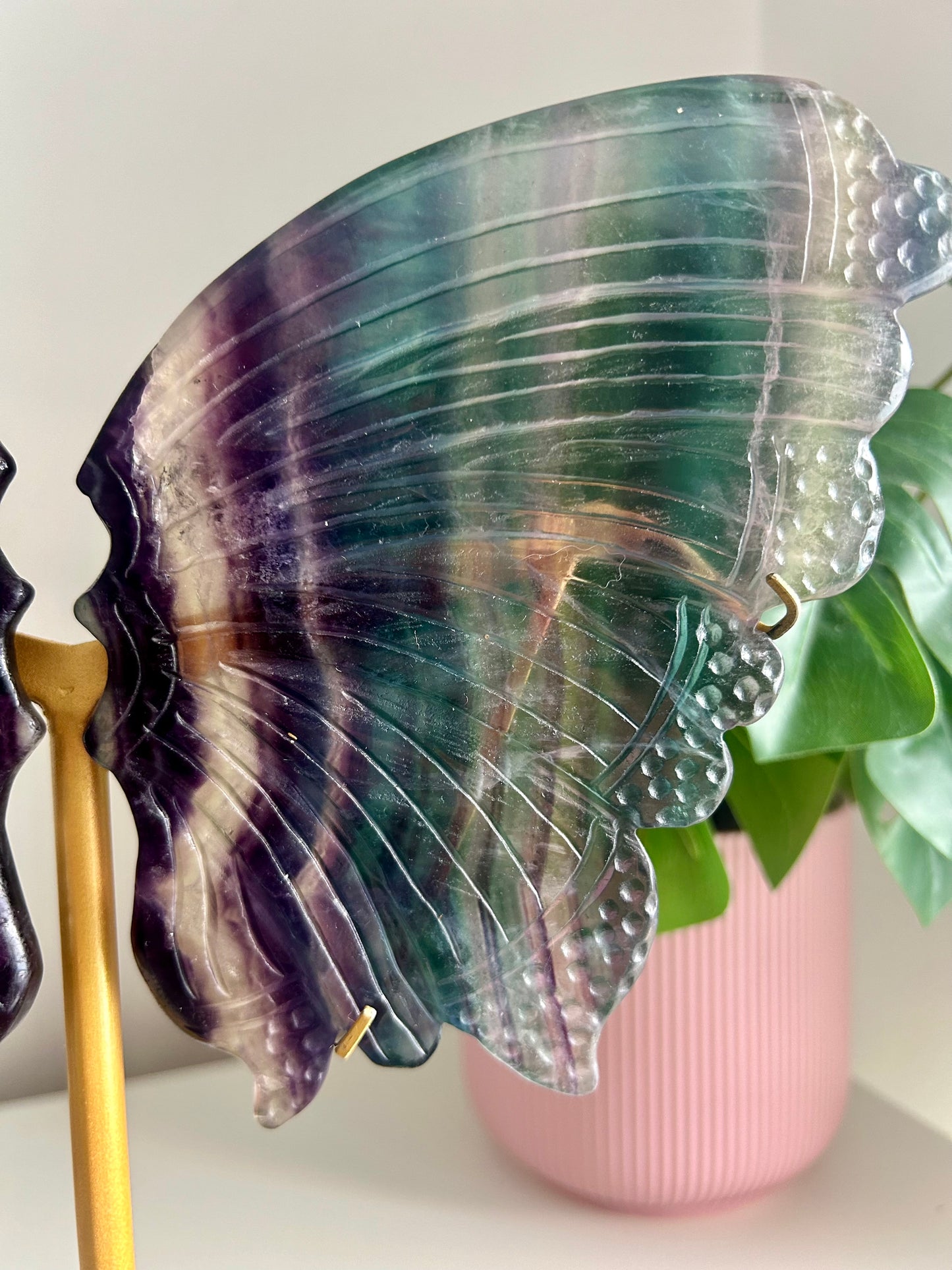 Large Rainbow Fluorite Butterfly