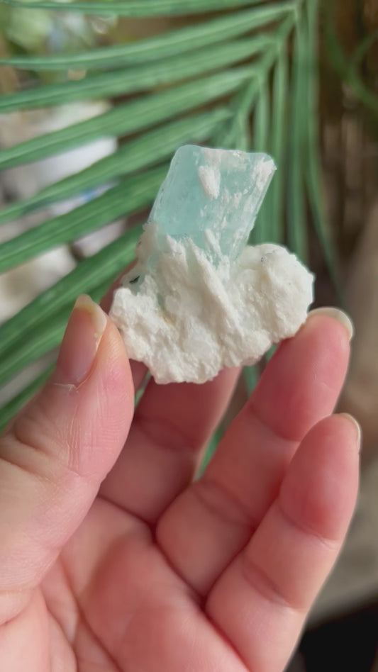 Aquamarine and Tourmaline in Matrix