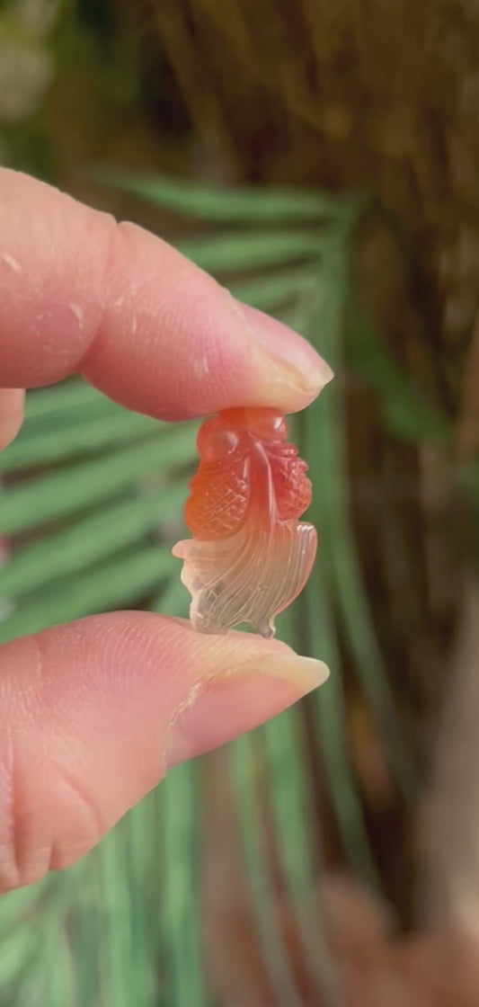 Rabbit Hair Quartz Goldfish Lot