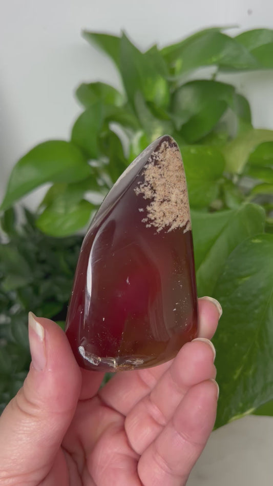 Polished Amber