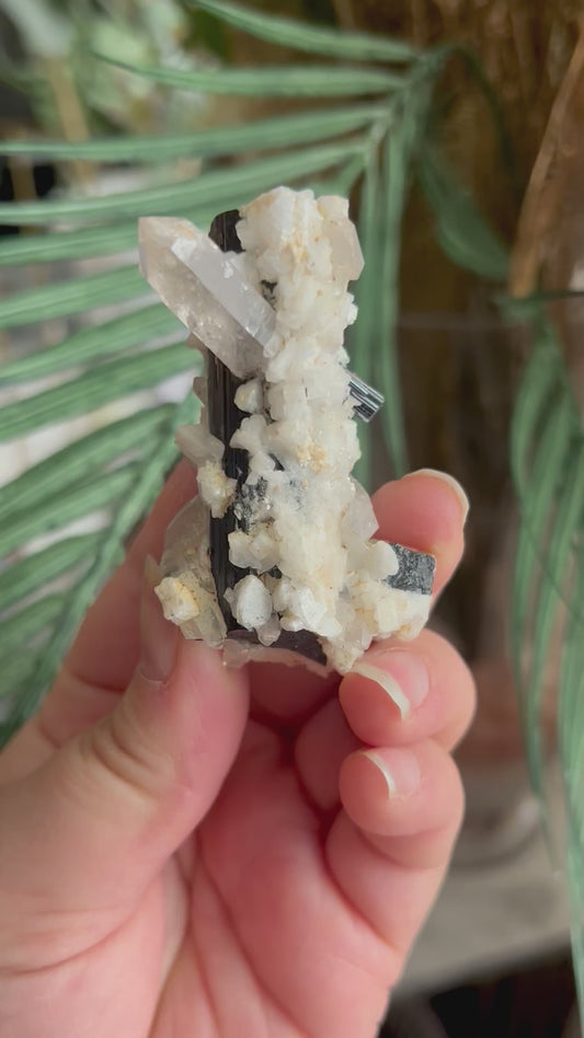 Schorl Tourmaline with Quartz