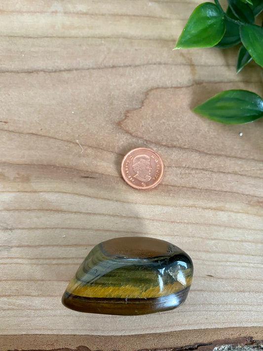 Tigers Eye Tumble - Large