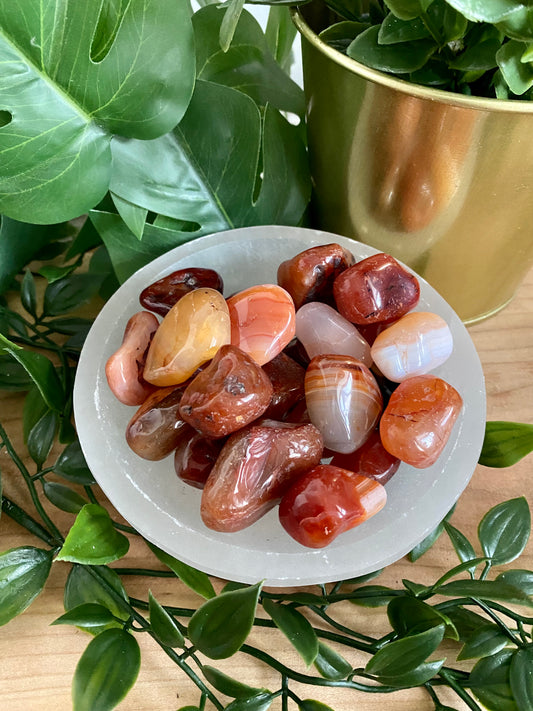 Carnelian Tumbled