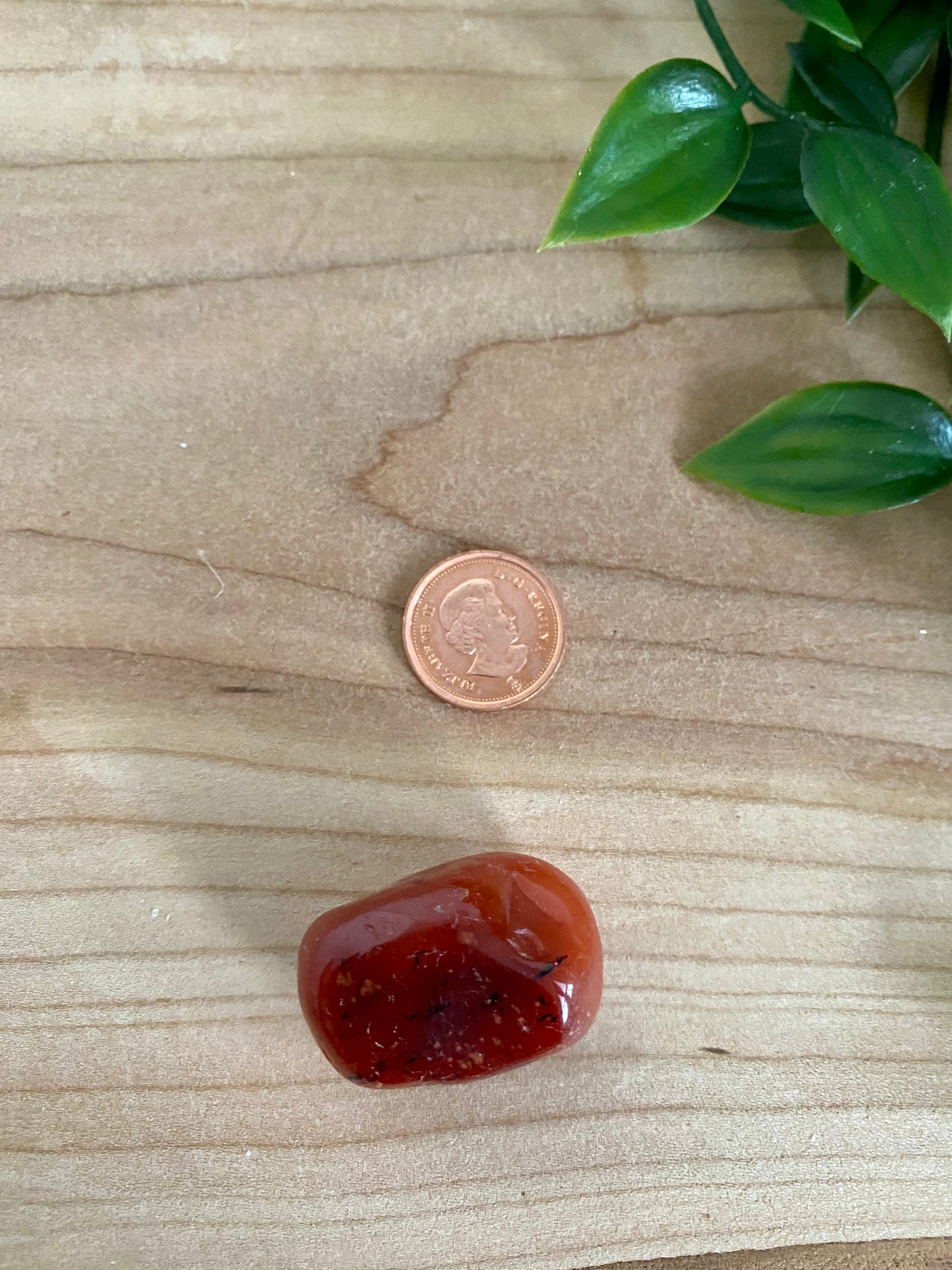 Carnelian Tumbled