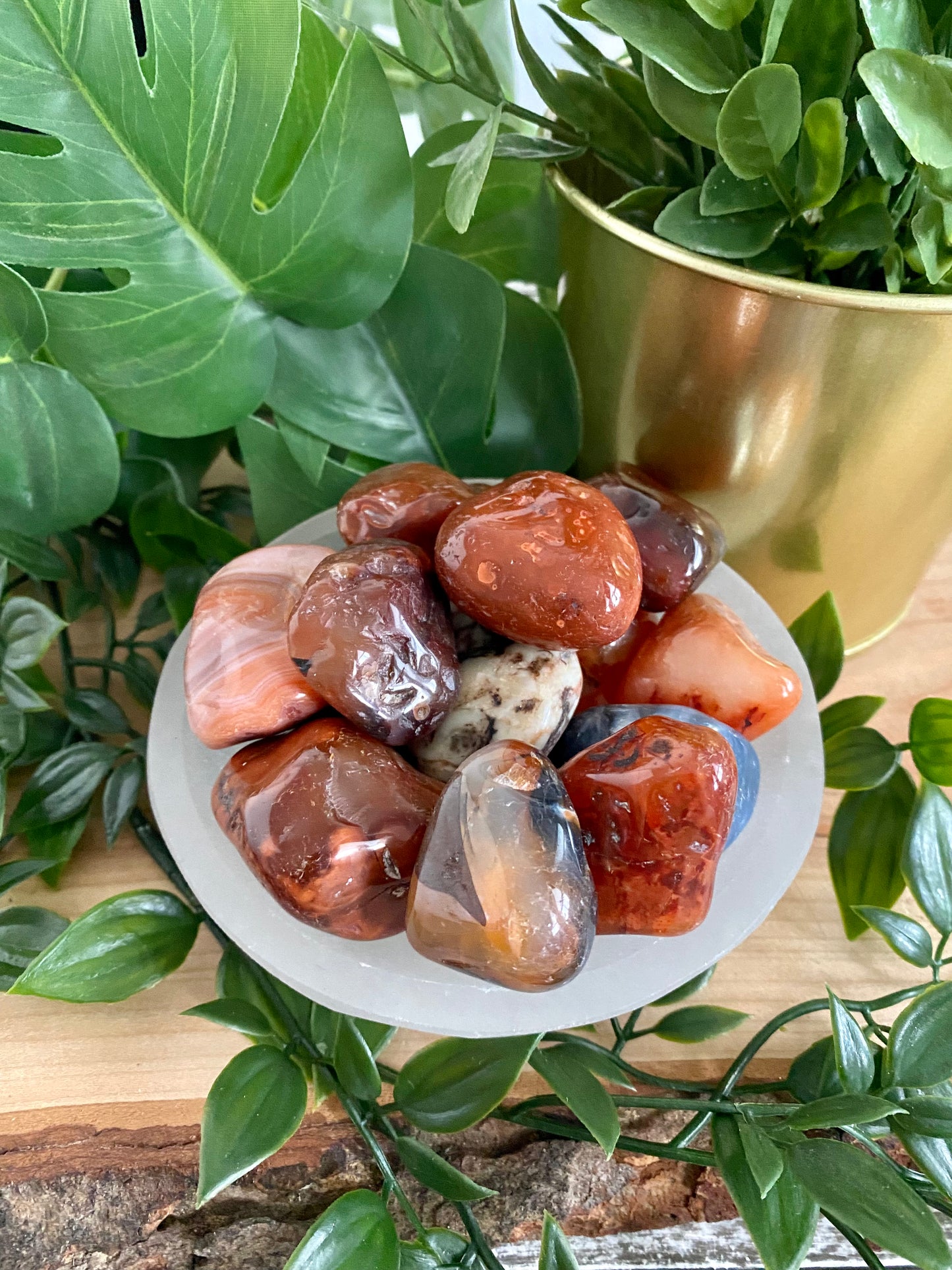 Carnelian Tumbled