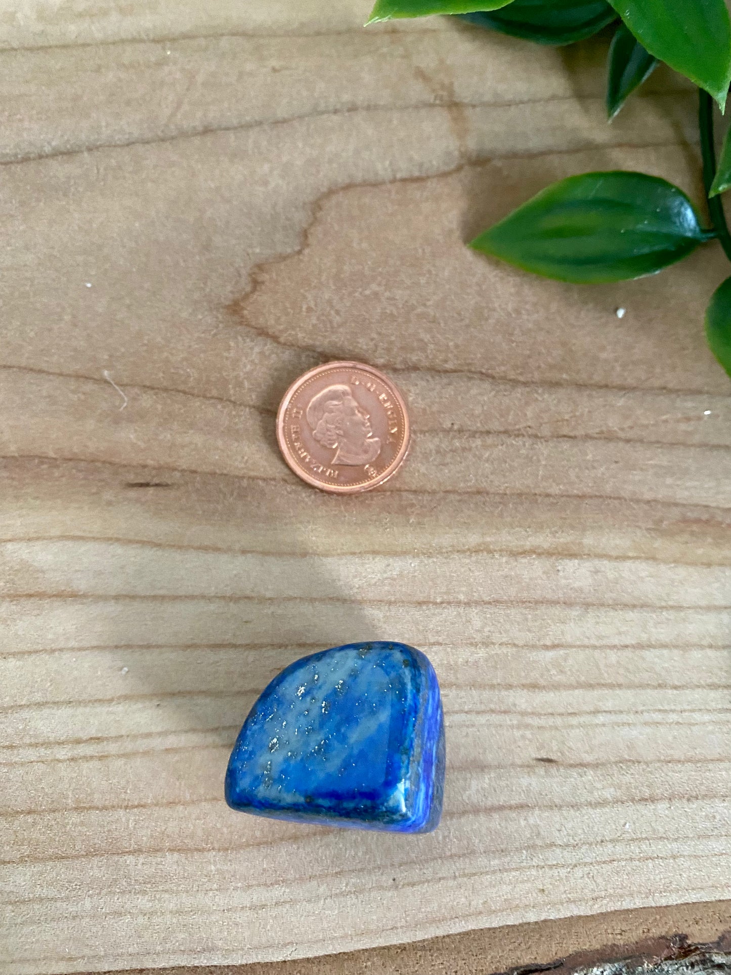 Lapis Lazuli Tumbled - Small