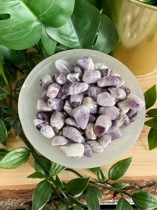 Chevron Amethyst - Tumbled