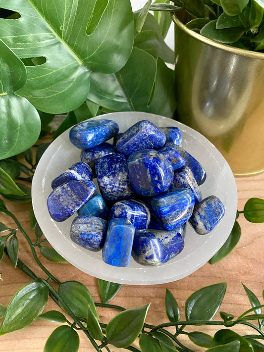 Lapis Lazuli Tumbled - Small
