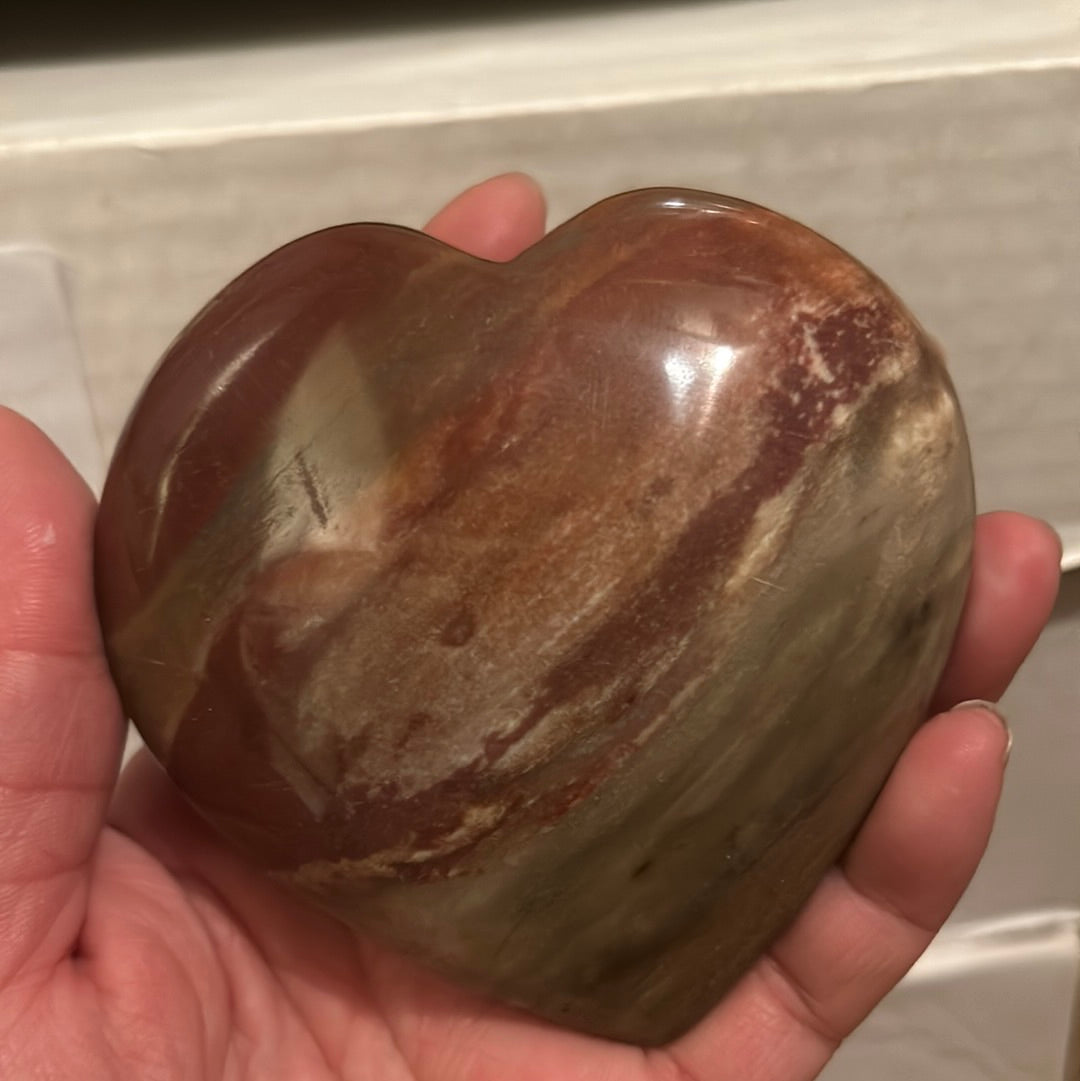Petrified Wood Hearts