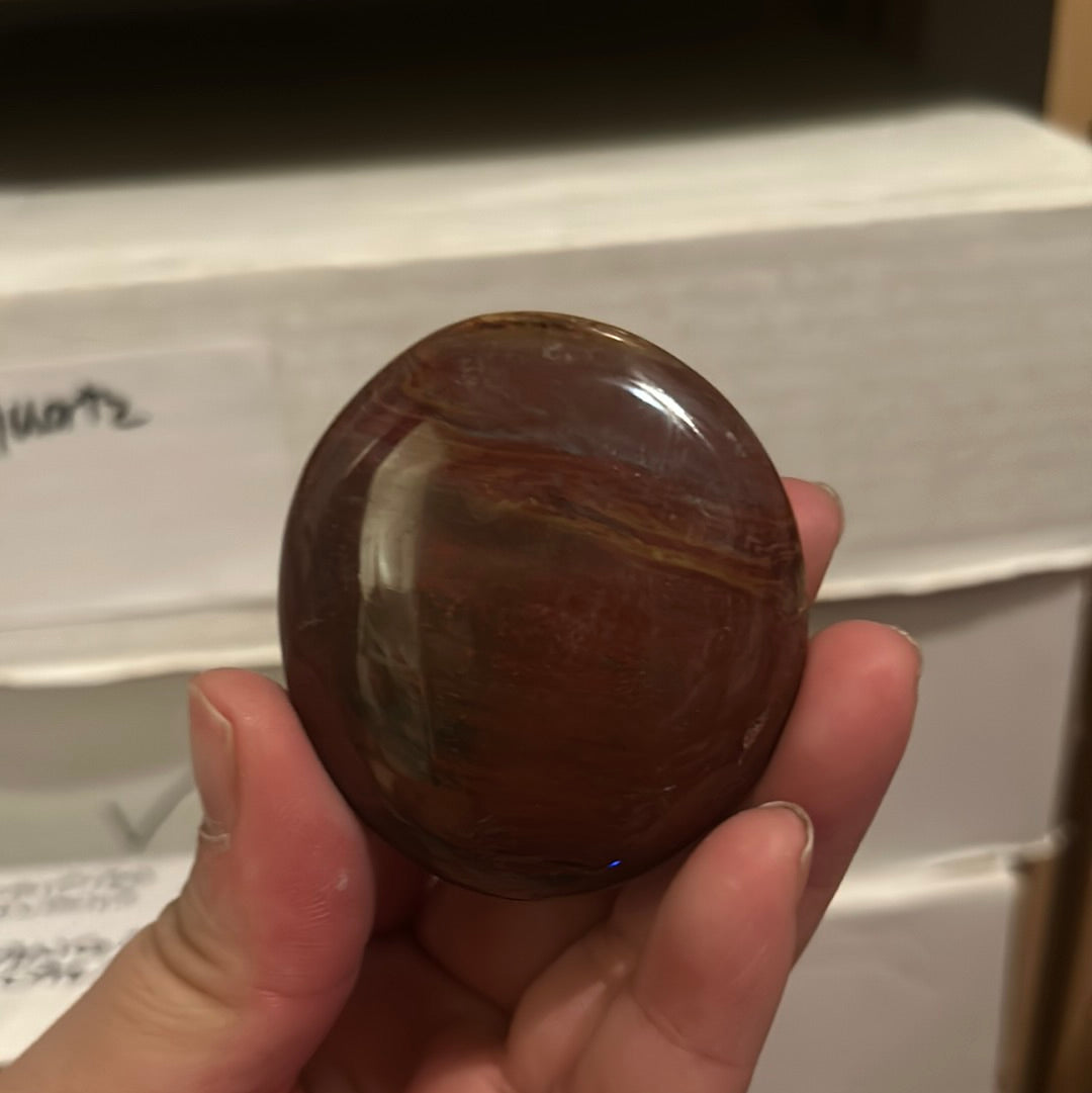 Petrified Wood Palmstone