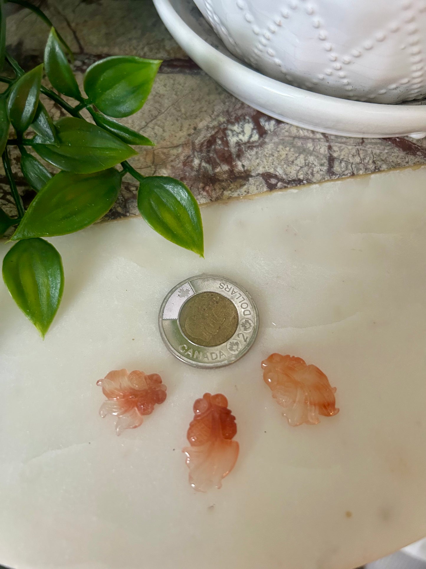 Rabbit Hair Quartz Goldfish Lot