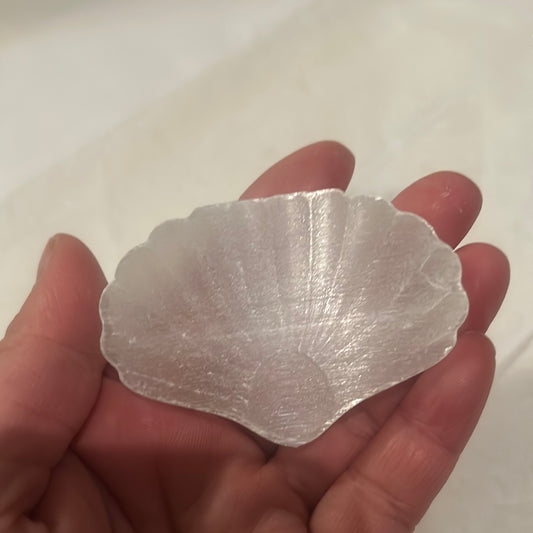 Selenite Shell