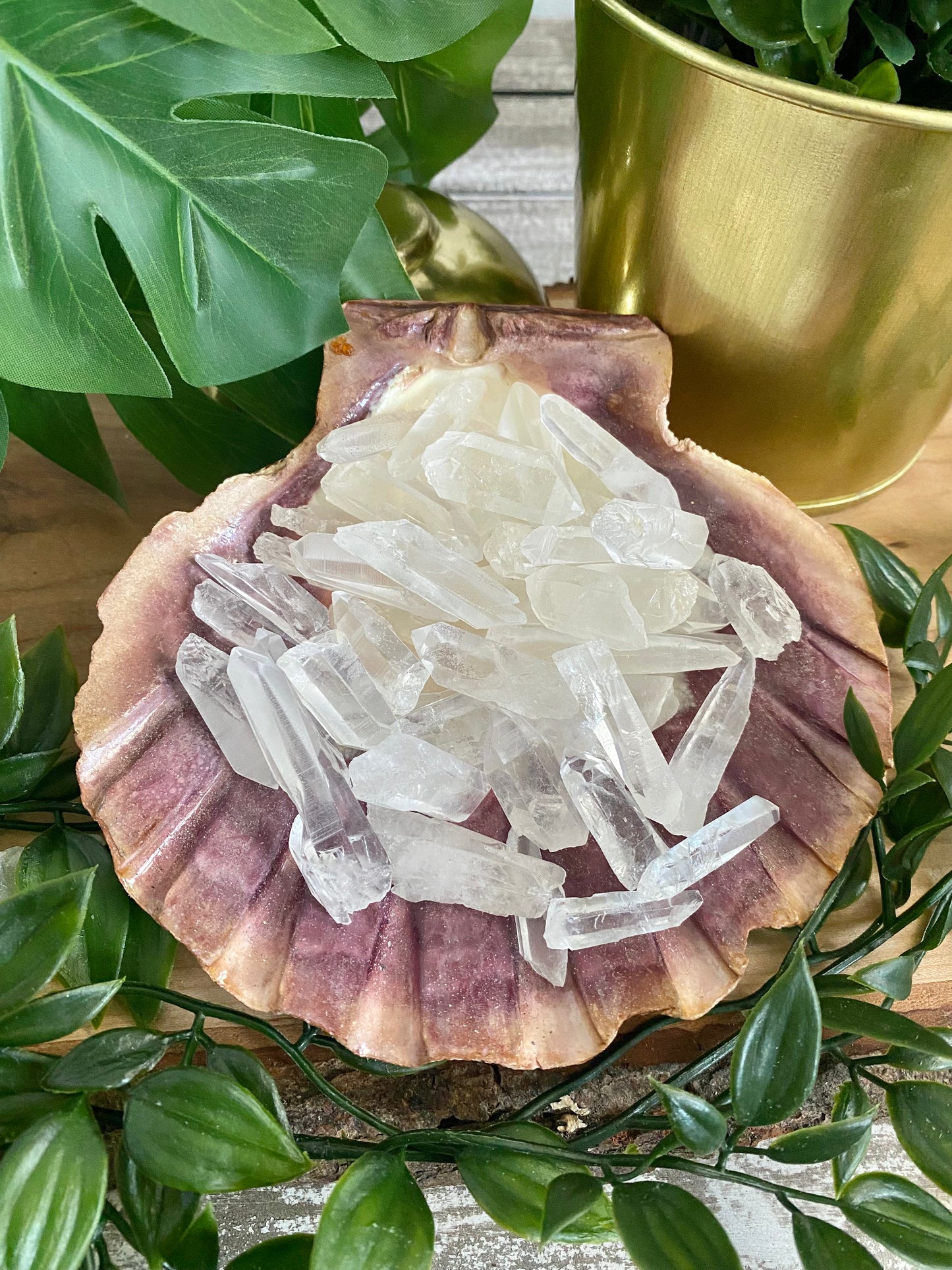 Lemurian Quartz Point - Raw